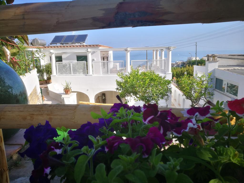 Villa Patrizi Капри Екстериор снимка
